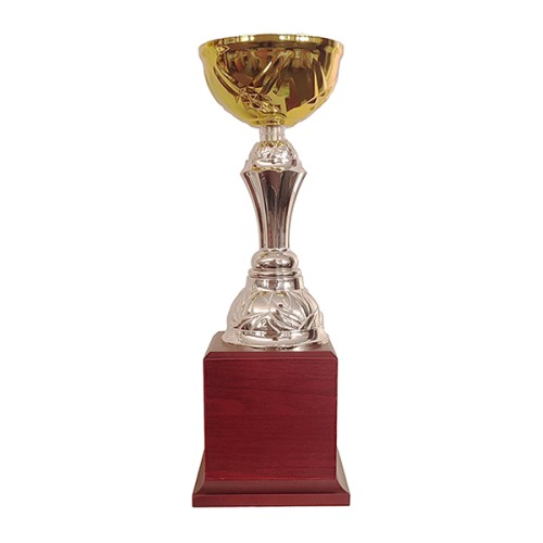 Copa BLAS 30