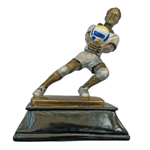 Trofeo Resina Voley Masculino Voley10