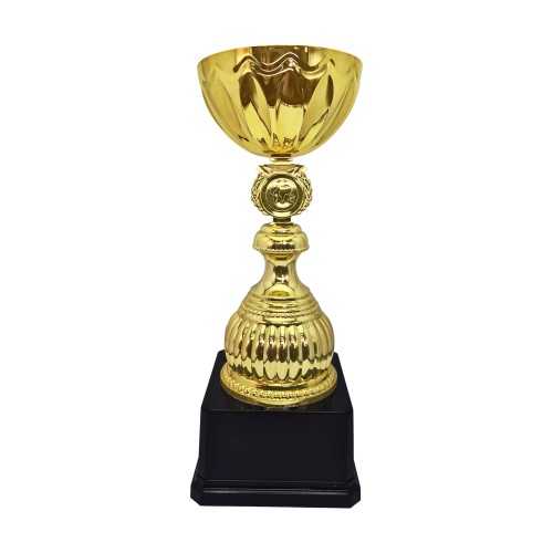 Copa Alex 10
