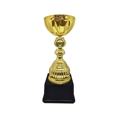 Copa Alex 10
