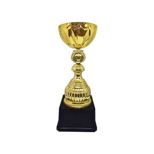 Copa Alex 10