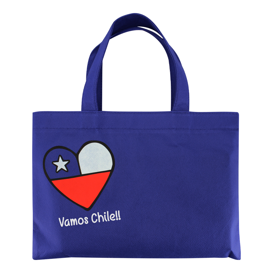 Bolsa TNT Vamos Chile