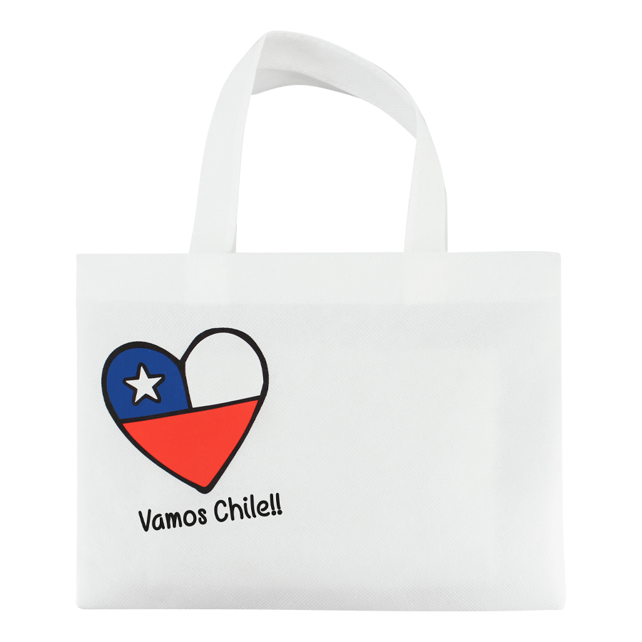 Bolsa TNT Vamos Chile