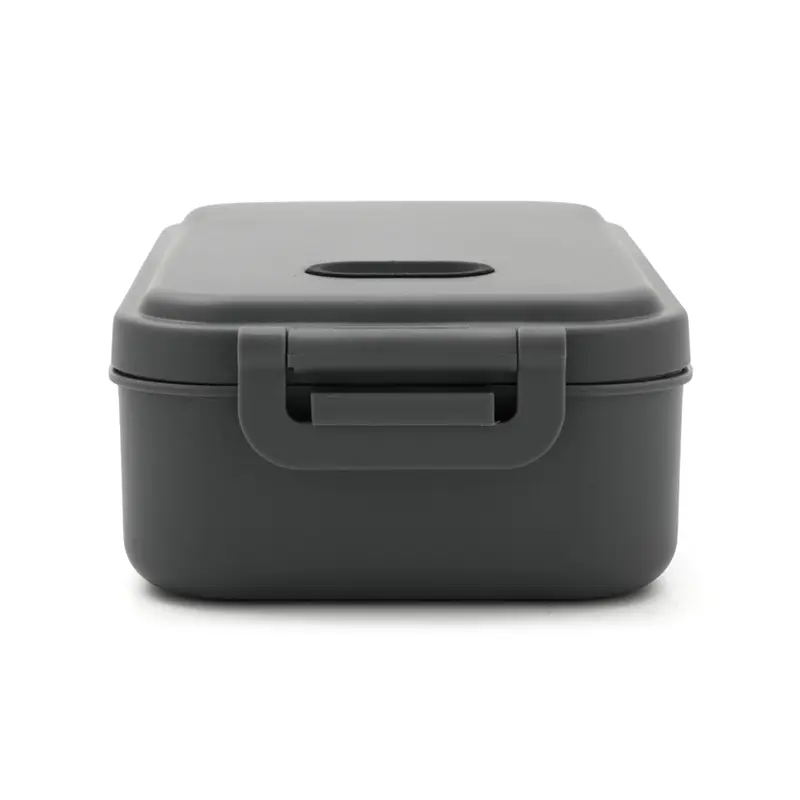 Lunch Box Bite