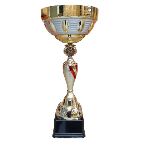 Copa DAN