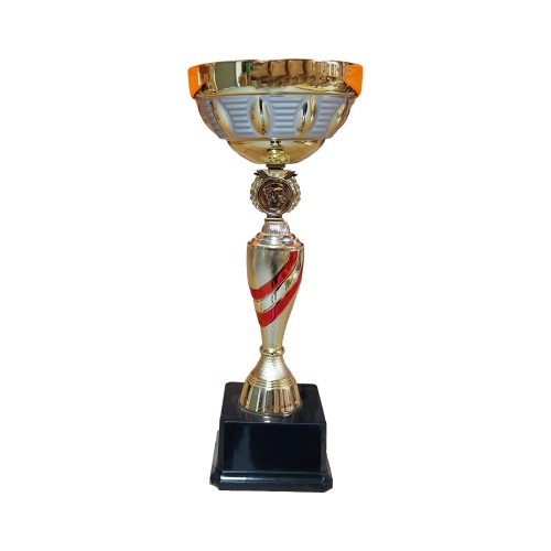 Copa DAN