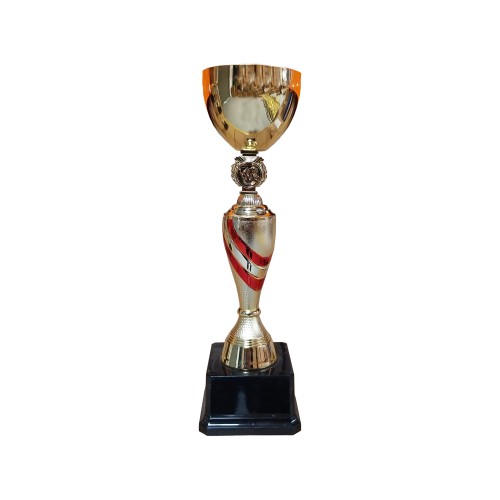 Copa DAN