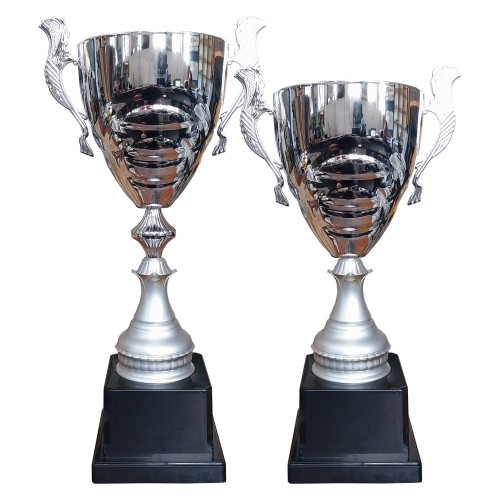 Copa DAN 7