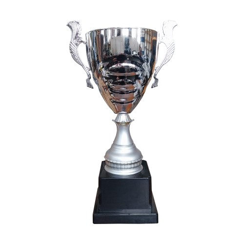 Copa DAN 7
