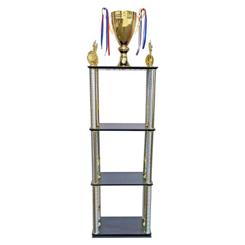 Copa Torre DGO10