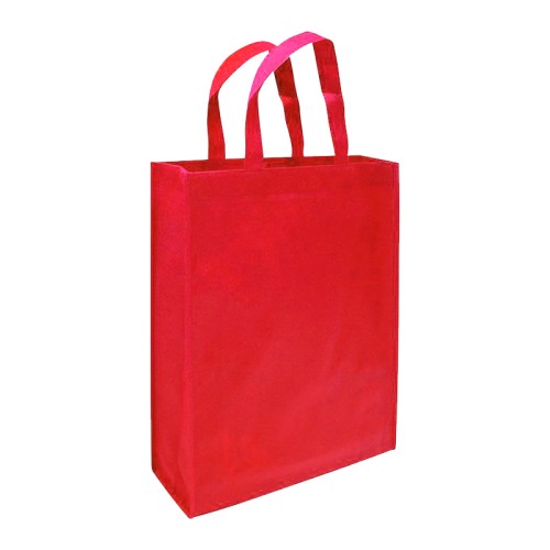 Bolsa TNT Reutilizable G06
