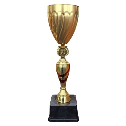 Copa GIO