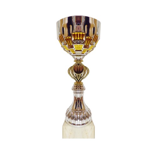 Copa 3045