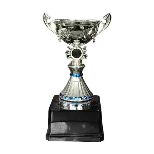 Copa VIC