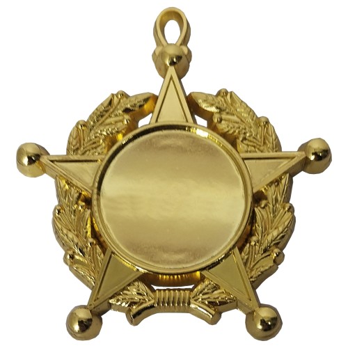 Medalla Condecoración de Fierro Estrella Laurel CON02